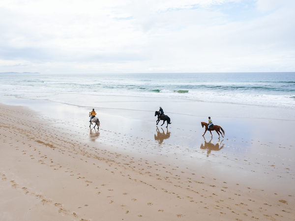 an aerial view of Zephyr horses running on the beach in Byron Bay