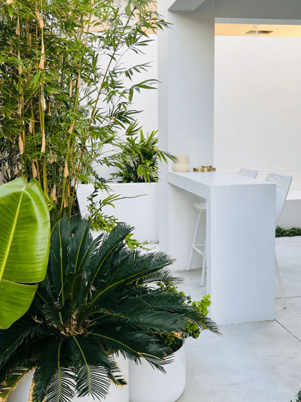 Airbnb Perth