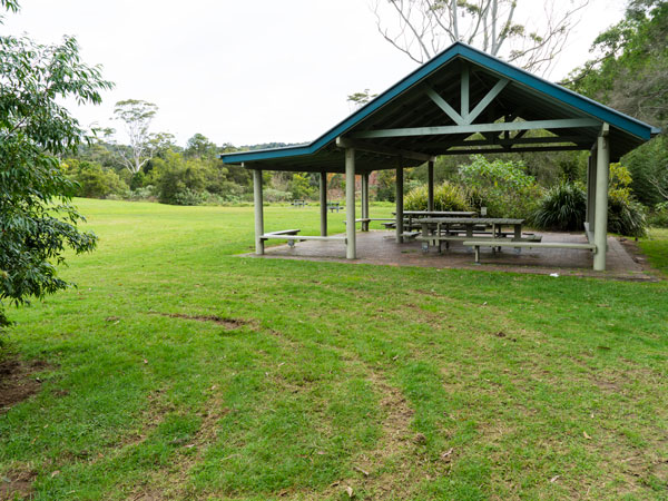 The Settlement Camp, Gold Coast
