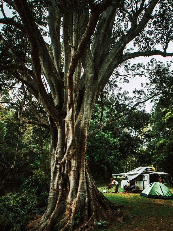 camping in the Scenic Rim, Spring Gully Stays