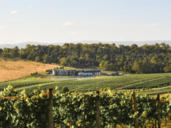 Yarra Valley wineries