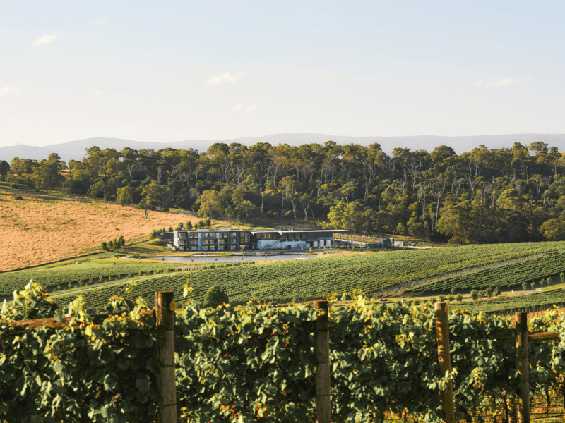 Oakridge: A guide to one of Yarra Valley’s most-awarded wineries