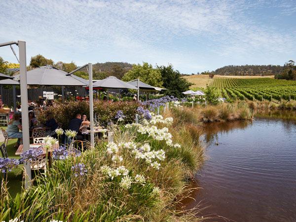 the Puddleduck Vineyard, Hobart