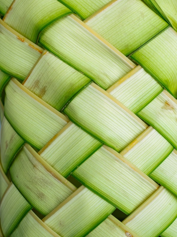 a close-up shot of a woven basket