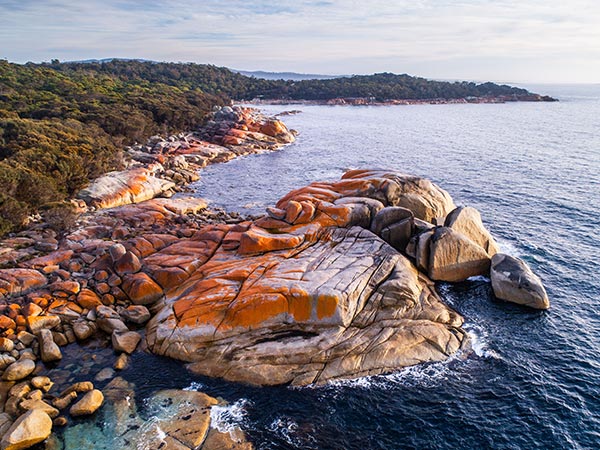 aerial shot of tasmania's bay of fires and red rocks