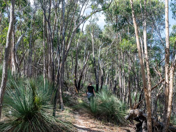 A woman hiking in Brisbane Ranges National Park in Victoria