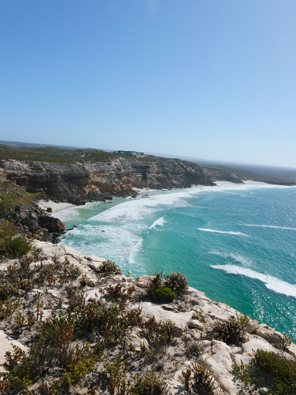 the view from the Clifftop Walk, Southern Ocean Lodge