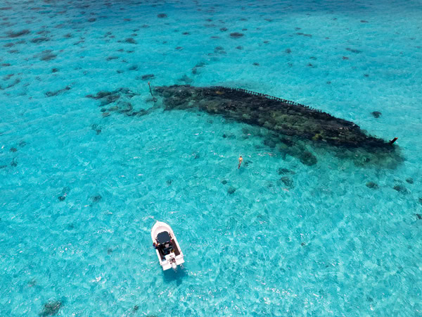 a snorkelling tour with Cocos Blue Charters