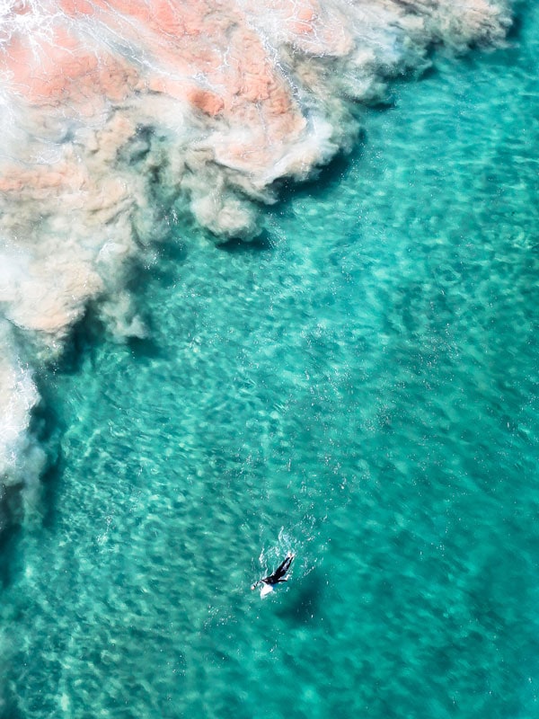 surfing at Freshwater Beach, Sydney