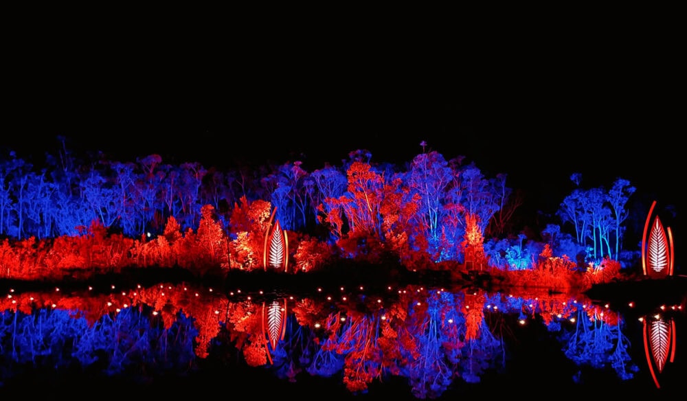 Illumina Light Show on K'gari (formerly Fraser Island)