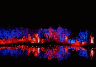 Illumina Light Show on K'gari (formerly Fraser Island)