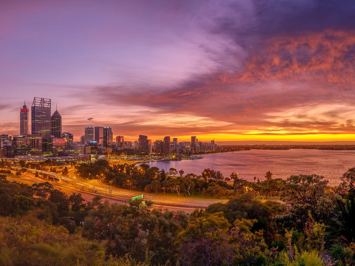 View of the Perth City Skyline at dusk from Kings Park and Botanic Garden