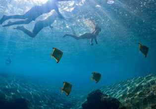 People swimming with fish in JW Marriot's pool.