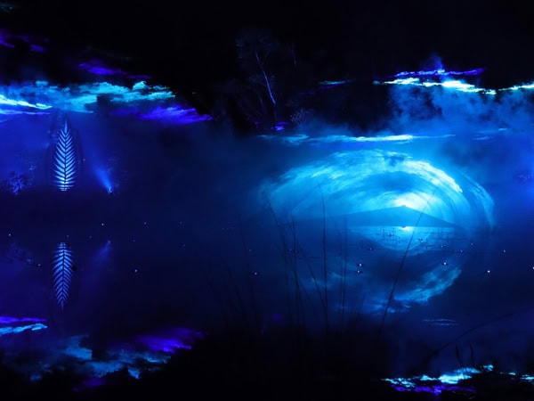 Illumina Light Show on K'gari (formerly Fraser Island)