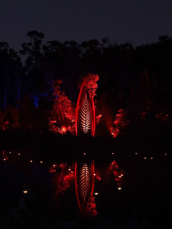 Illumina Light Show on K'gari (formerly Fraser Island)