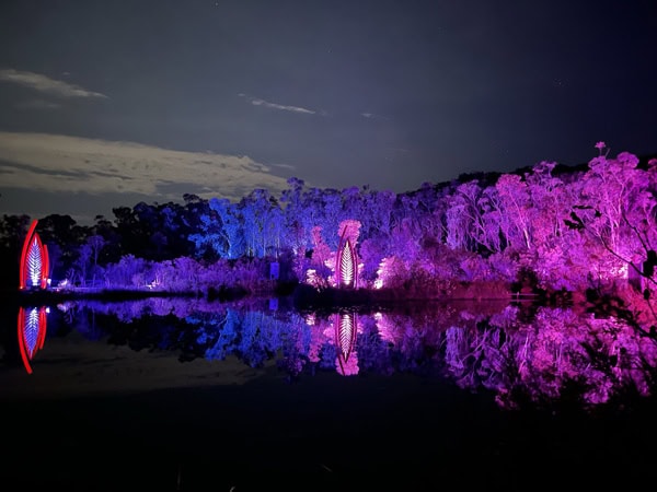 Illumina Light Show on K'gari (formerly Fraser Island)
