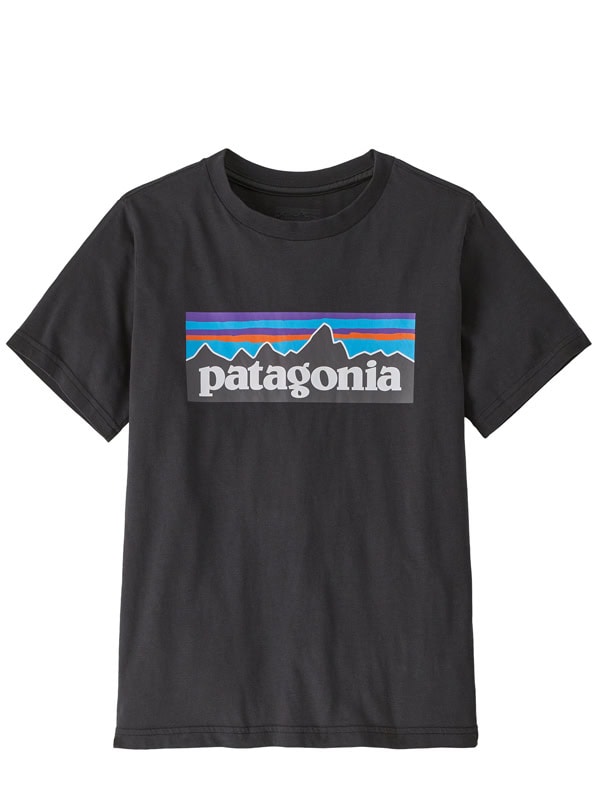 Patagonia Tshirt