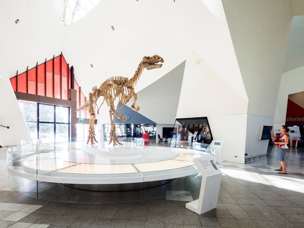 a dinosaur fossil display at the National Museum of Australia, Canberra