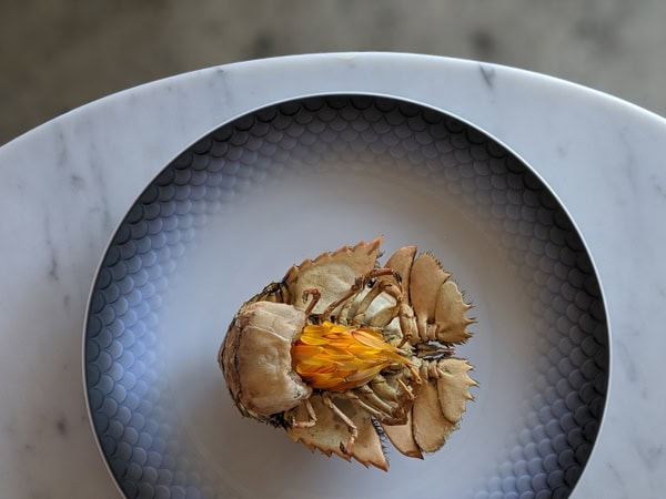 a seafood dish at Paddington restaurant, Saint Peter