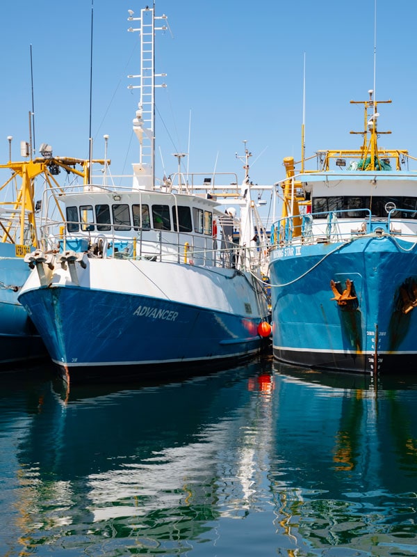 fishing boats at Sardine Jetty