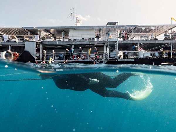 snorkeller in front of reef suites pontoon with cruise whitsundays