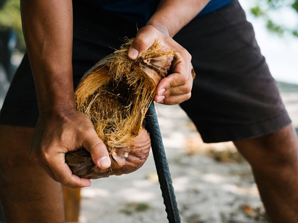 peeling a coconut at Wild Coconut Discovery Centre