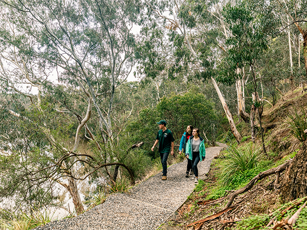 Yarra Bend Park