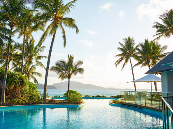 the Sails Pool surrounded by palm trees