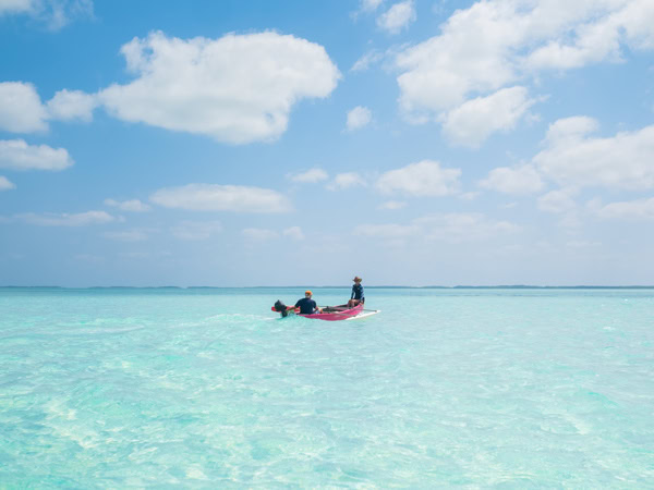 a motorised canoe tour, Cocos Keeling