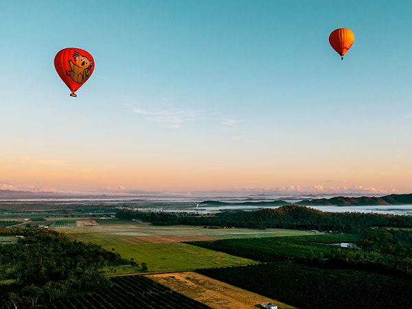 Hot air balloons flying above misty countryside