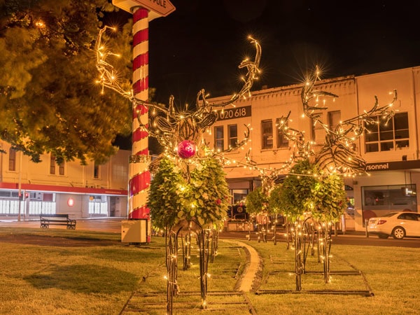 reindeers festooned with fairy lights in Ballarat