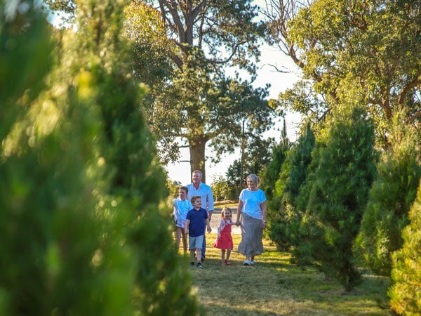 a family strolling around the Granite Belt Christmas Farm