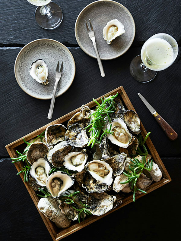 champagne and oysters on qualia's signature Talk and Taste experience