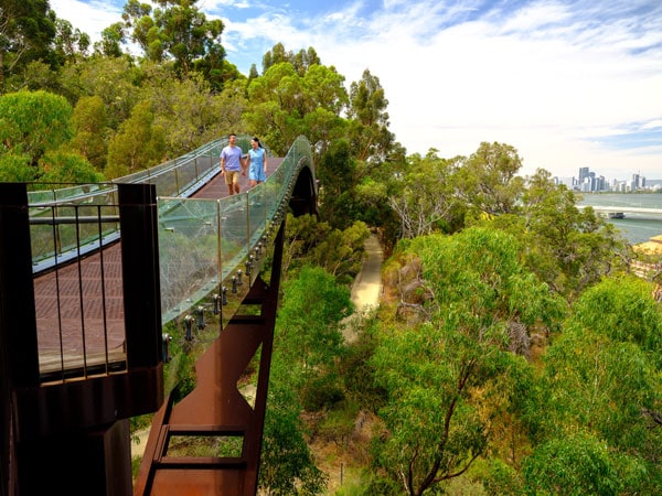 the Kings Park and Botanic Garden, Perth