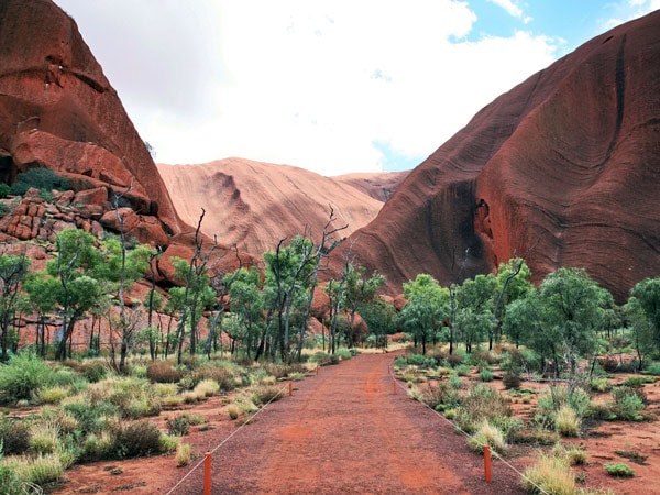 the Kuniya Walk, Uluru Kata Tjuta, NT