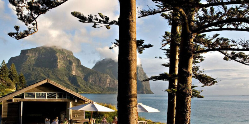 the Pinetrees Lodge nestled among tall pine trees, Lord Howe Island accommodation
