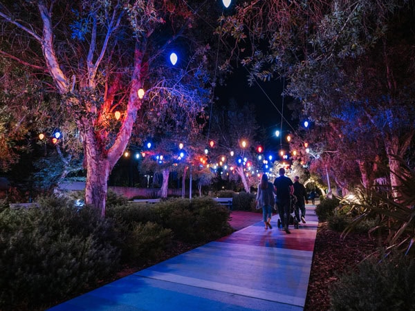 the light display at Mandurah Christmas Lights Trail