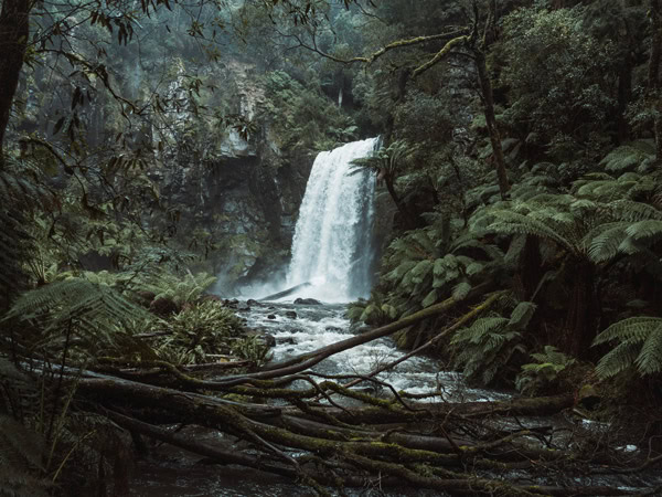 a waterfall along the Great Ocean Road, Otway Eco Tours