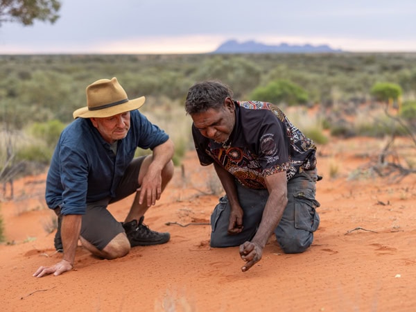 Uluṟu-Kata Tjuṯa Signature Walk in the Northern Territory