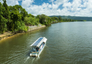 Daintree River Cruises