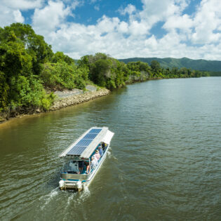 Daintree River Cruises
