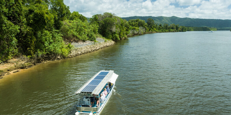 Daintree River Cruises