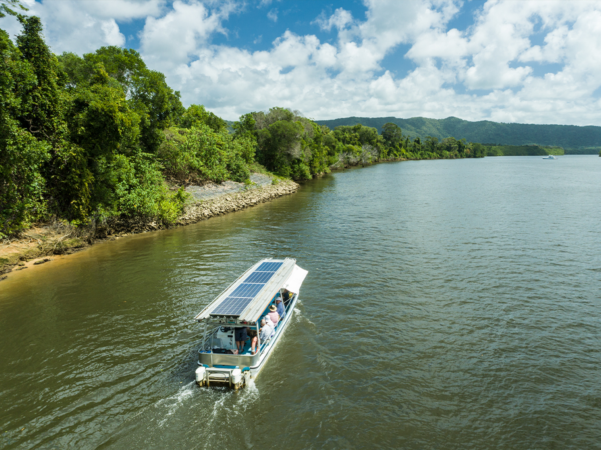 Daintree River Cruises