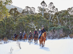 Thredbo Valley Horse Riding through the Snowy Mountains