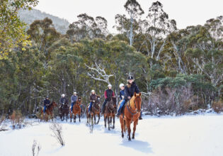 Thredbo Valley Horse Riding through the Snowy Mountains