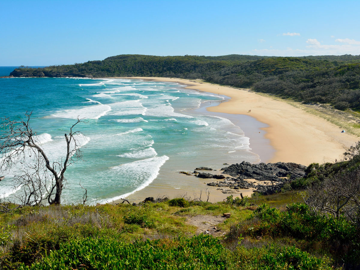 an aerial view of Alexandria Bay, Noosa