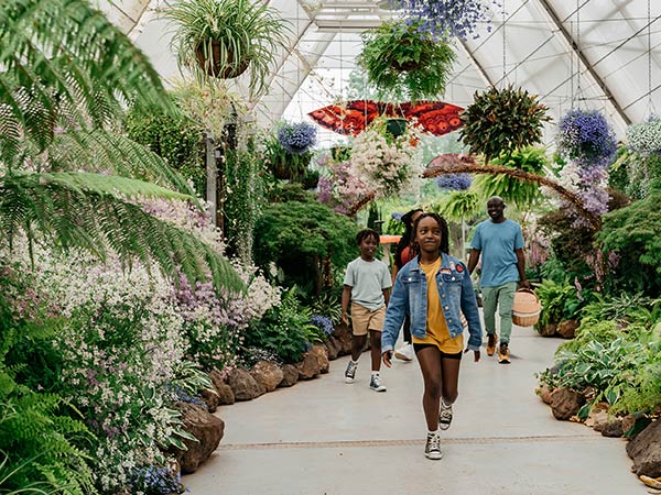 Botanical gardens at Ballarat Market
