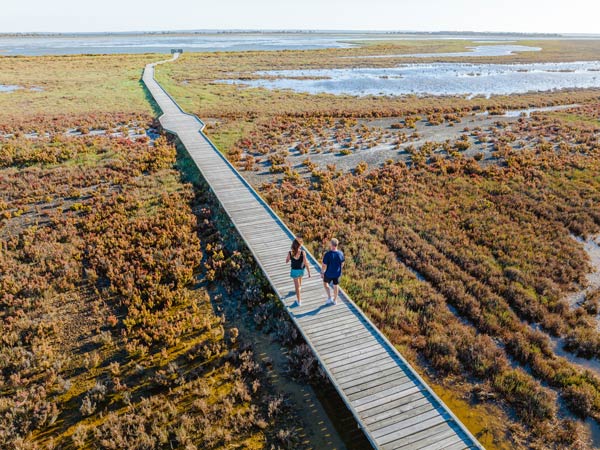 Couple walking the boardwalk at Creery Wetlands, Mandurah 