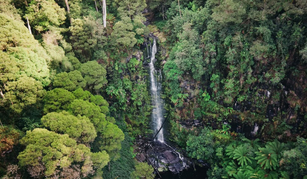 the Erskine Falls in Lorne