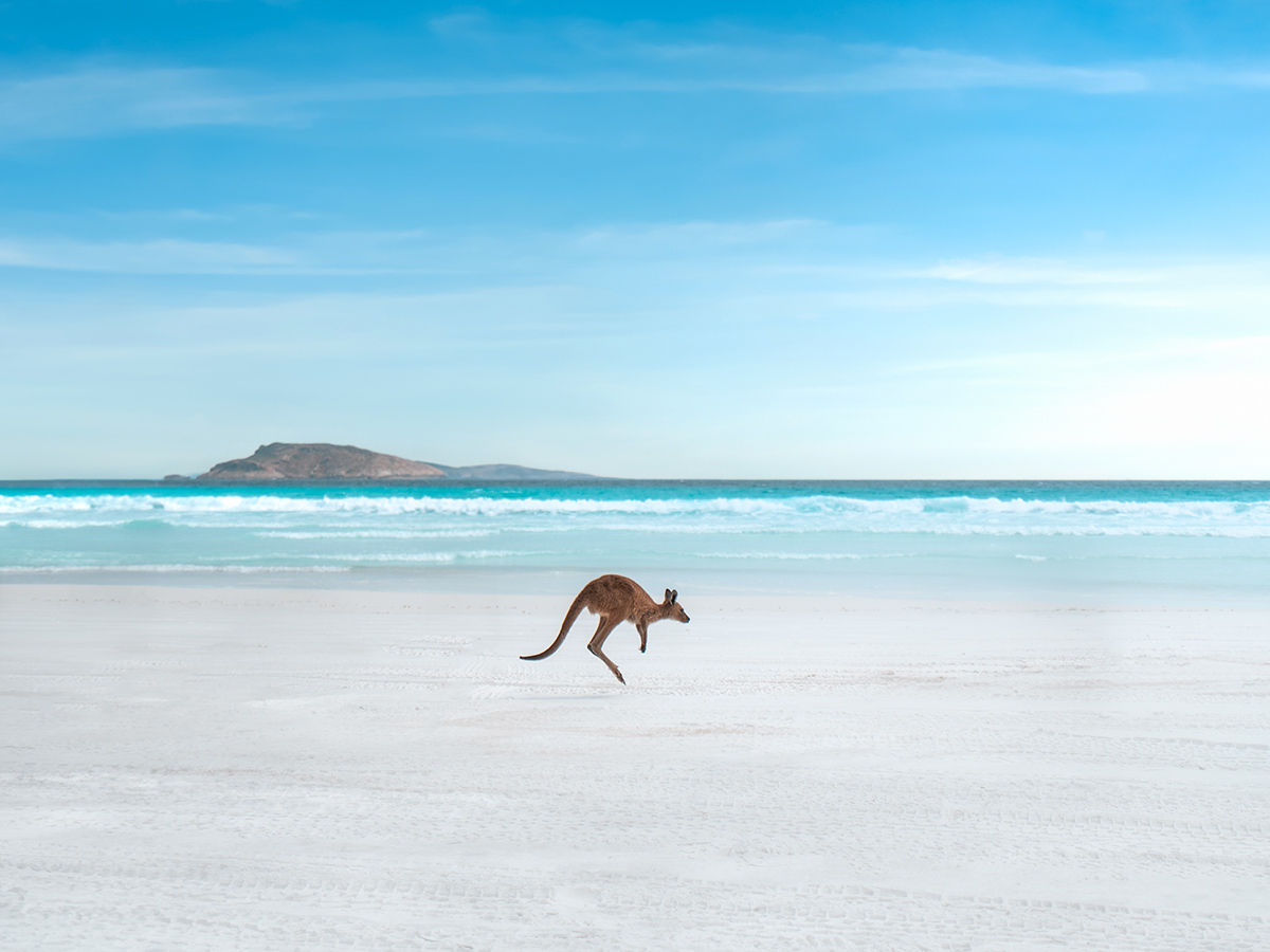 Lucky Bay, Tourism Western Australia